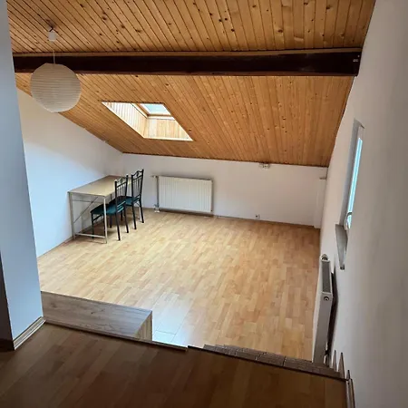 Spacious Near Center * Ljubljana