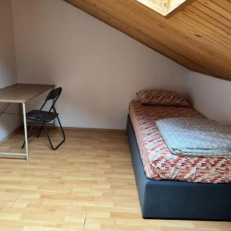 Spacious Near Center * Ljubljana